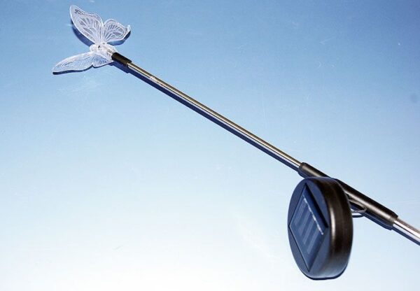 1461439377-374111-big