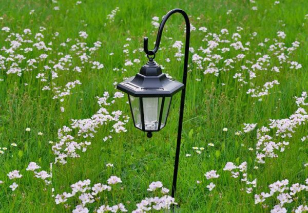 1461439384-323114-big