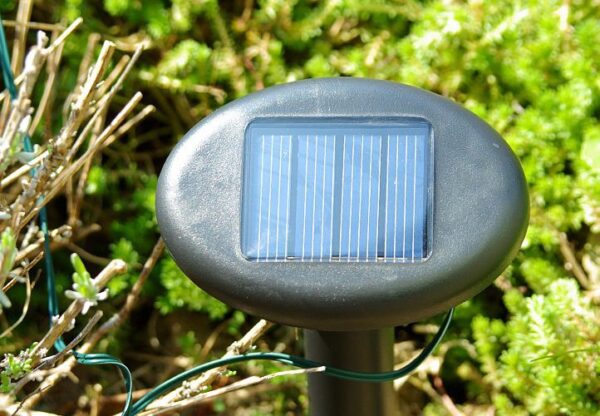 1461439477-652689-big