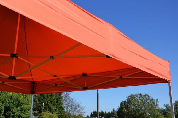 1461443281-209442-big