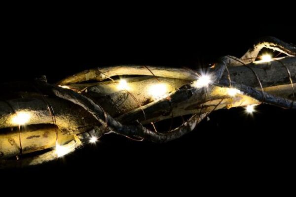 1466841847-745671-big