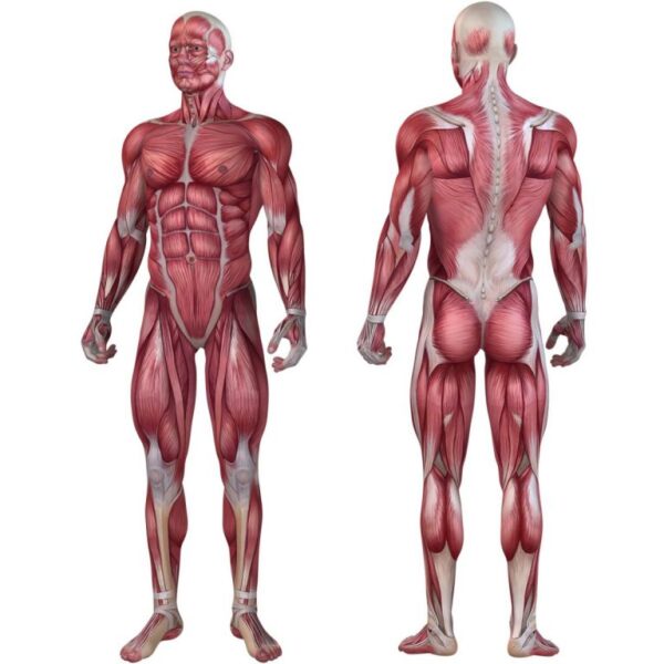 1485426976-195481-big