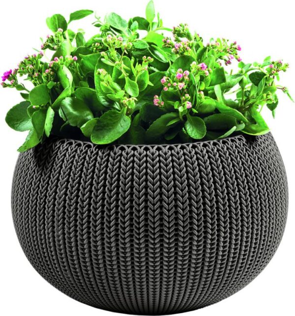 1489565674-698040-big