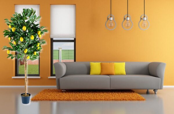 1497003099-981936-big