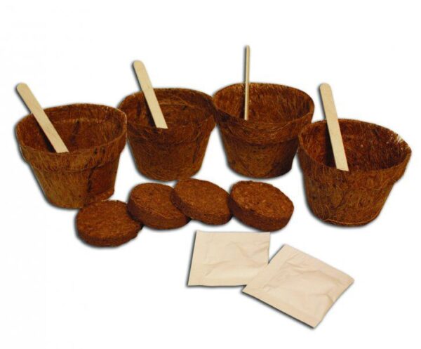 1502962381-746119-big