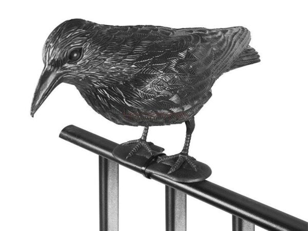 1502962775-495172-big