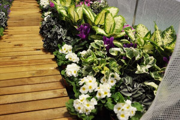 1519138566-800433-big