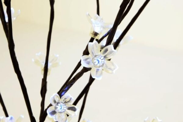 1526984319-476822-big