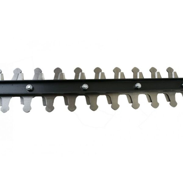 1529856736-633754-big