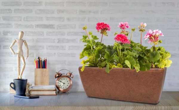 1532229433-346477-big