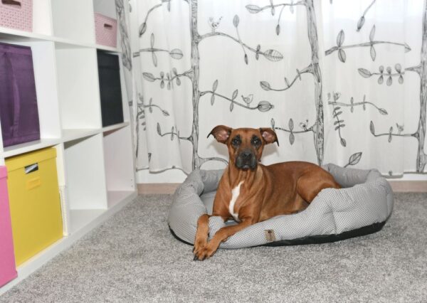 1540296106-694411-big