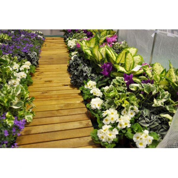 1548413767-207684-big