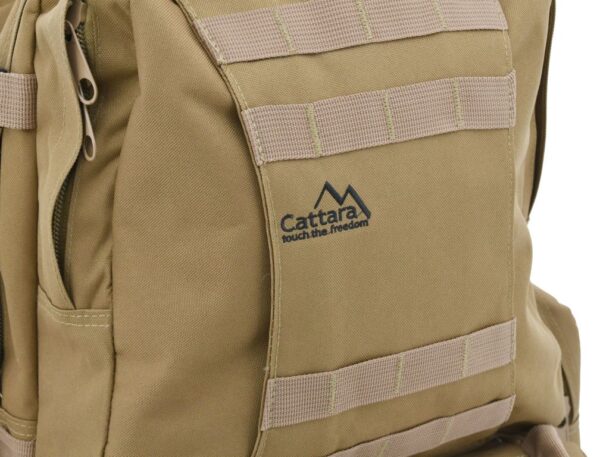 1555494486-273037-big