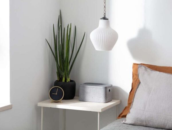 1556863389-956120-big