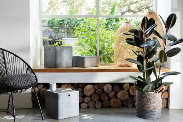 1556863396-351847-big