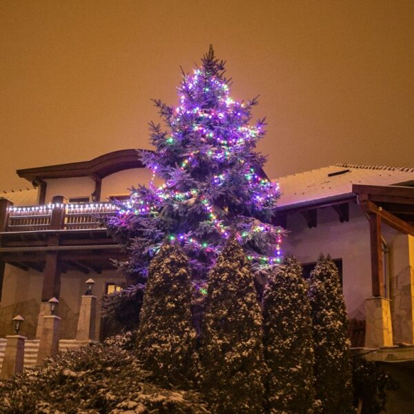 1571148510-228161-big