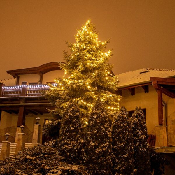 1571154502-282234-big