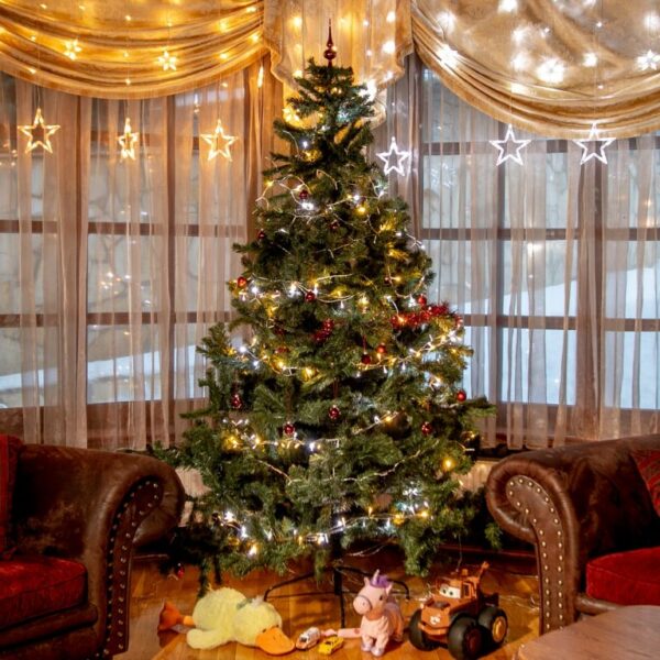 1571415542-276992-big