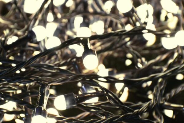 1572772120-333498-big