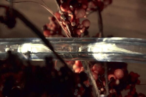 1572799680-530949-big