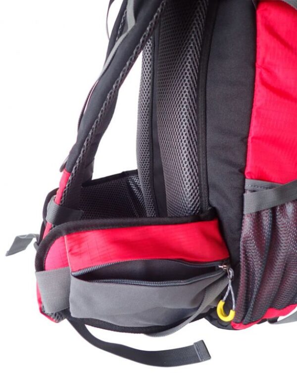 1582743344-785096-big