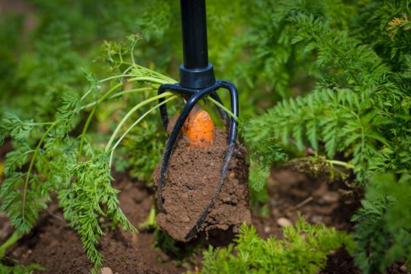 1587547173-465410-big