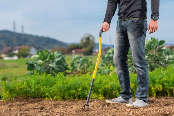 1587547174-335373-big