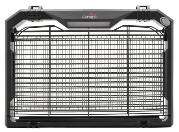 1592301293-675304-big