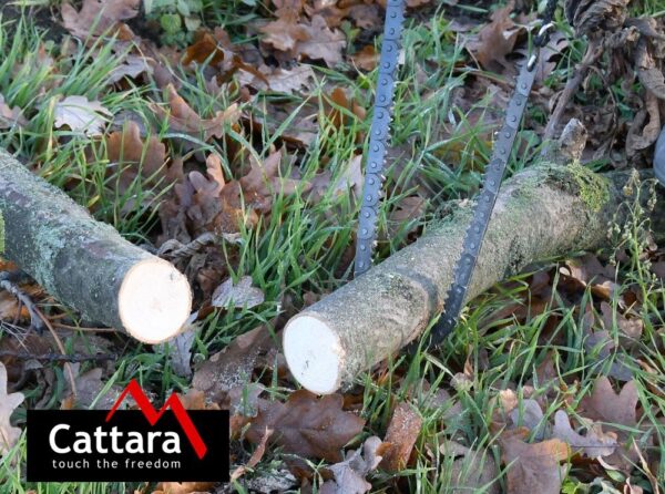 1592301327-69869-big