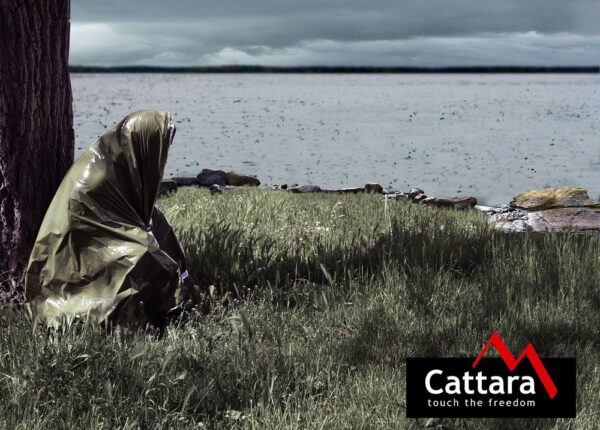 1592301330-495777-big