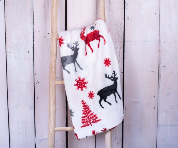 1595592499-291683-big