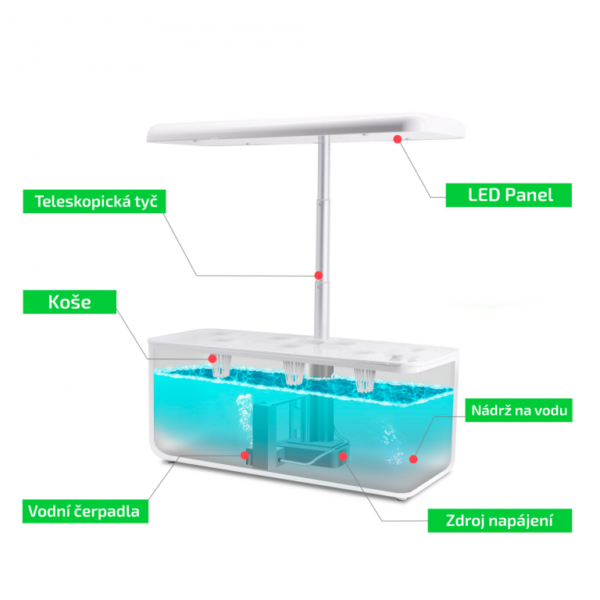 1599540553-667899-big