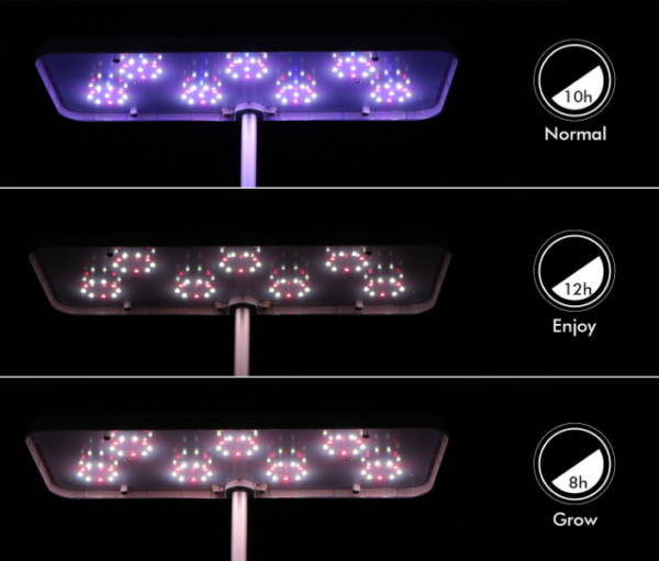 1599540554-702486-big