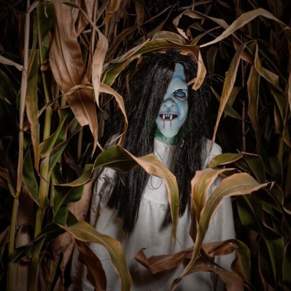 1599827914-124400-big