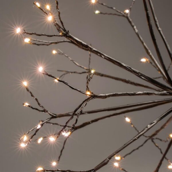 1605523934-452237-big