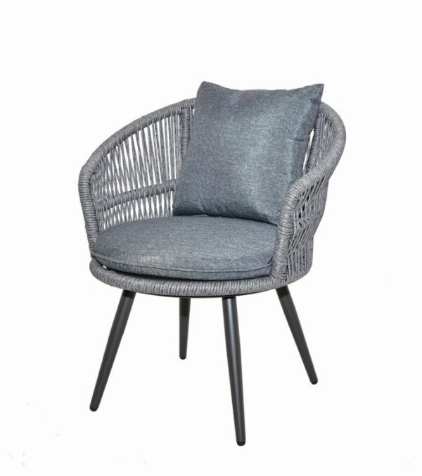 1608130477-632413-big