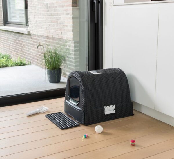 1497006143-459952-big