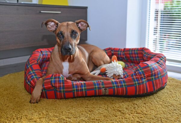 1540296171-409779-big