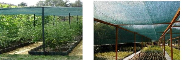 1559813828-179599-big