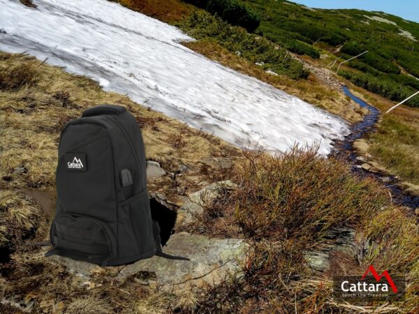 1569834686-726949-big