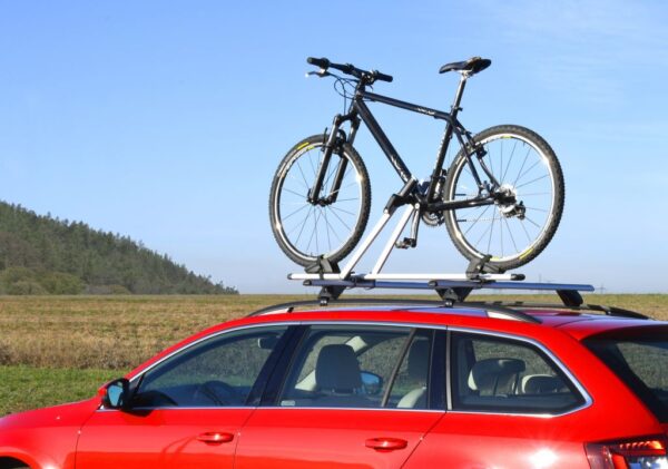 1571665602-956115-big