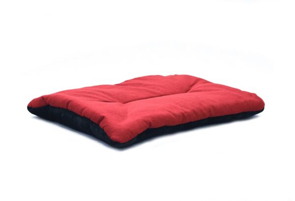 1581338156-193099-big