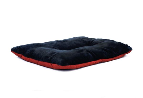 1581338157-219846-big