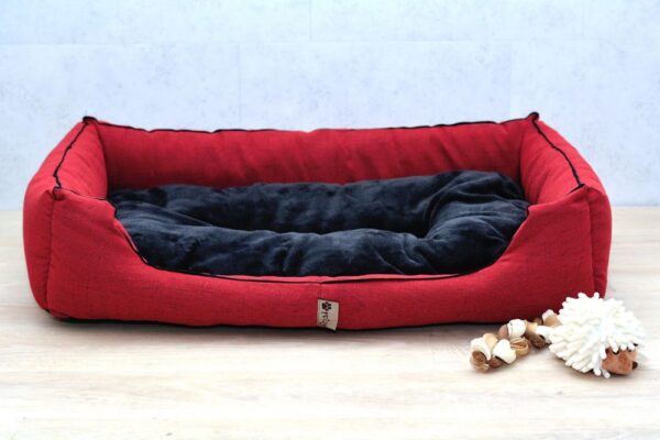 1581338158-495885-big