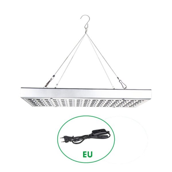 1599540557-532610-big