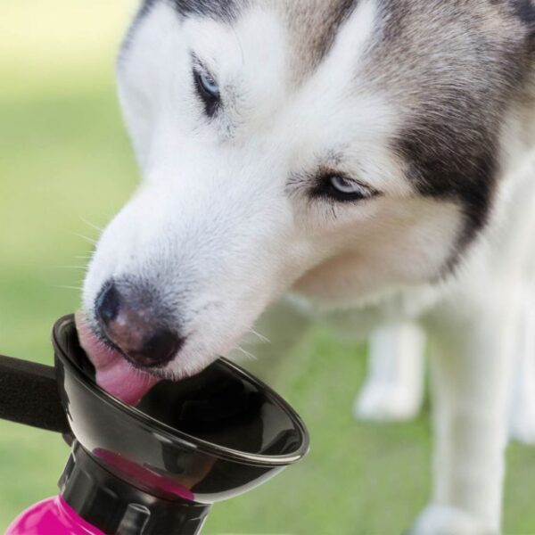 1610548181-299205-big